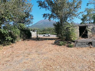 terreno agricolo