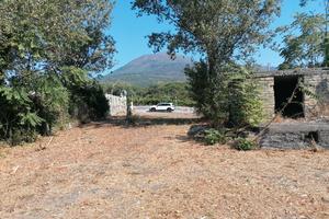 terreno agricolo