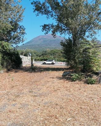 terreno agricolo
