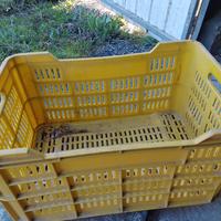 Cassette in plastica