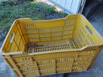 Cassette in plastica