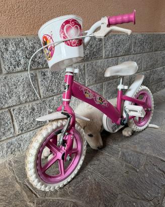 Bici per bimba 2/3 anni
