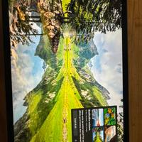 Microsoft Surface Pro 12  con Keyboard e Penna