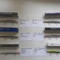 Artificiali pesca spinning di gamma