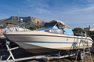 Rio 600 cabin fish