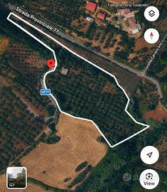 Terreno agricolo 2 ettari con fabbricato