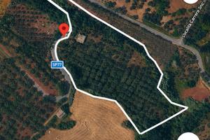 Terreno agricolo 2 ettari con fabbricato