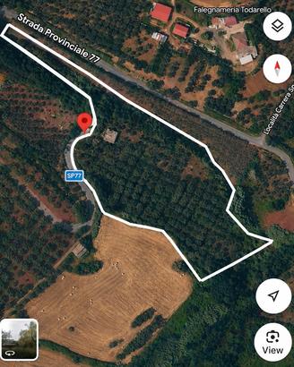 Terreno agricolo 2 ettari con fabbricato