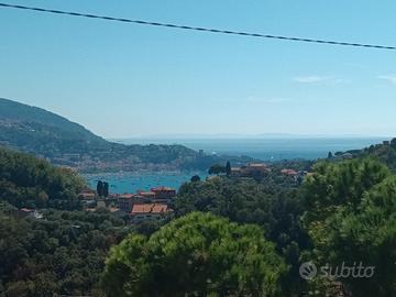 Mare autunno/inverno