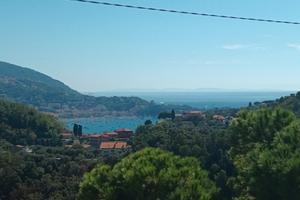 Mare autunno/inverno