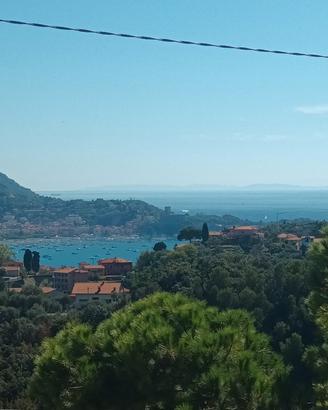 Mare autunno/inverno