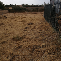 Terreno Loc. Su scardeddu