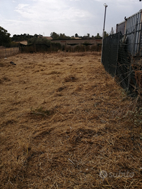 Terreno Loc. Su scardeddu