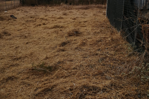 Terreno Loc. Su scardeddu