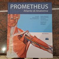 libro università fisioterapia 