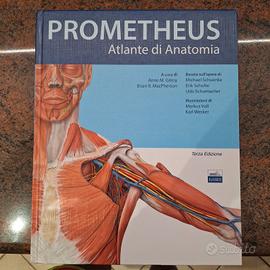 libro università fisioterapia 