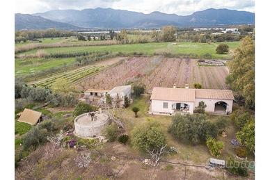 Rustico su 11.000 mq