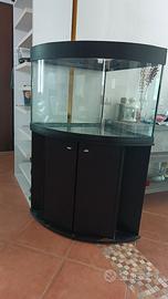 Acquario angolare