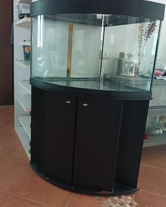 Acquario angolare