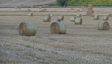 Rotoli misto Trifoglio, loietto, veccia e avena