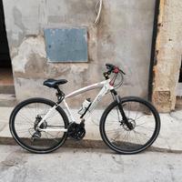 Bicicletta Lombardo - Trekking/ibrida