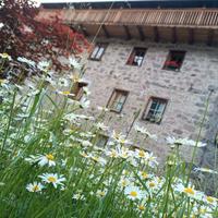 Primavera sulle Dolomiti