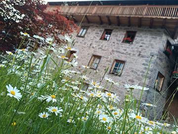 Primavera sulle Dolomiti