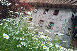 Primavera sulle Dolomiti