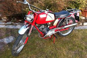 MORINI CORSARINO