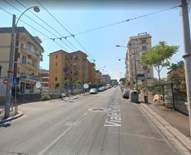 Magazzino/deposito di ampia quadratura
