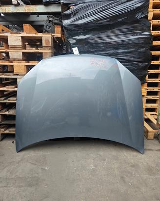 COFANO VOLKSWAGEN GOLF 5 1.9 TD 2005 BKC 795/2026
