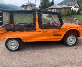Citroen Mehari magnifica