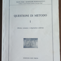 Questioni di metodo I.Luraschi Negri. Ed New Press