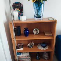 Libreria bassa in legno 30x80x100 cm