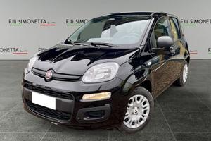 FIAT Pandina 1.0 firefly hybrid Icon s&s 65cv...