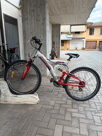 Mountain Bike Apex Cross