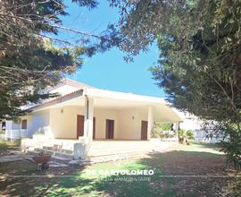 San vito-tulipano rosso-villa prestigiosa