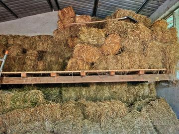 balle fieno