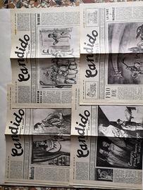 Candido, settimanale del sabato