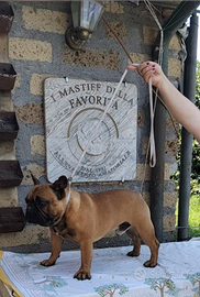 Bouledogue francese per riproduzione