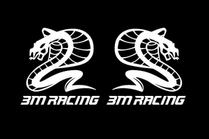 Coppia Adesivi 3M RACING con cobra COLORE A SCELTA