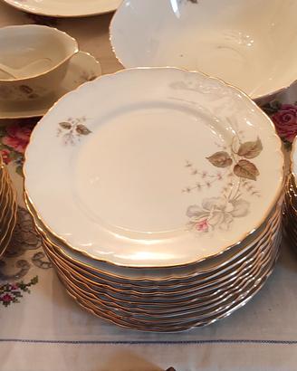 servizio piatti per 12 Richard Ginori Raro  