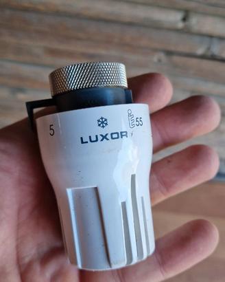 Lotto 13 Teste termostatiche Luxor per termosifoni