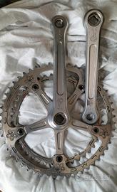 bici guarnitura campagnolo 