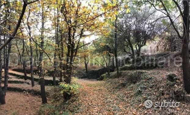 Terreno 20.000mq con fabbricato a Piedimonte Etneo - Vista 2