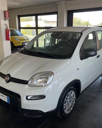 FIAT Panda 1.0 FireFly 70cv S&S Hybrid