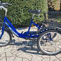 triciclo elettrico con pedalata assistita