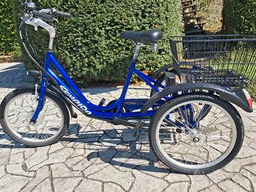 triciclo elettrico con pedalata assistita