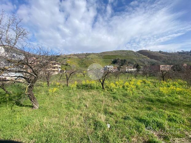 TERRENO A NAPOLI