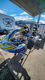 Go-Kart gold motore rok